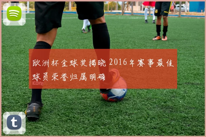 欧洲杯金球奖揭晓 2016年赛事最佳球员荣誉归属明确