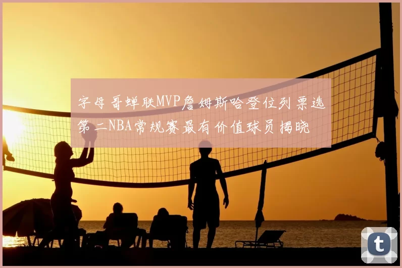 字母哥蝉联MVP詹姆斯哈登位列票选第二NBA常规赛最有价值球员揭晓