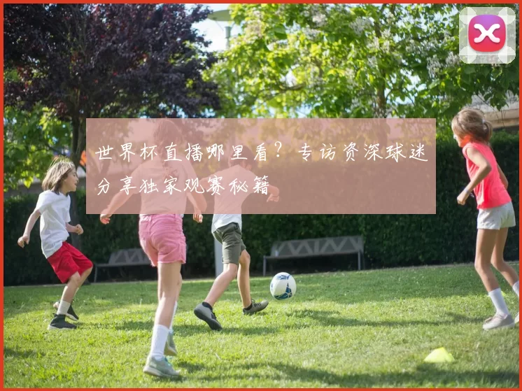 世界杯直播哪里看？专访资深球迷分享独家观赛秘籍