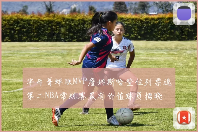字母哥蝉联MVP詹姆斯哈登位列票选第二NBA常规赛最有价值球员揭晓