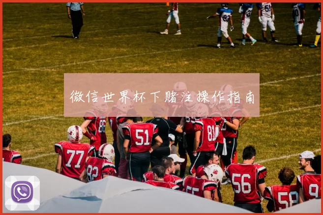 微信世界杯下赌注操作指南