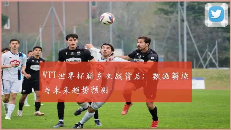 WTT世界杯新乡决战背后：数据解读与未来趋势预测