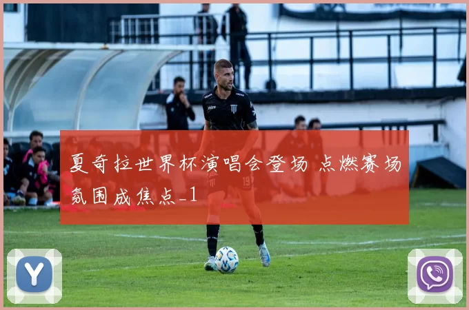 夏奇拉世界杯演唱会登场 点燃赛场氛围成焦点_1