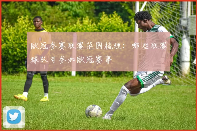 欧冠参赛联赛范围梳理：哪些联赛球队可参加欧冠赛事