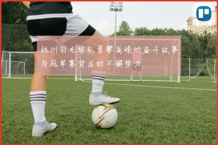 杭州羽毛球队勇攀高峰的奋斗故事与冠军赛背后的不懈努力