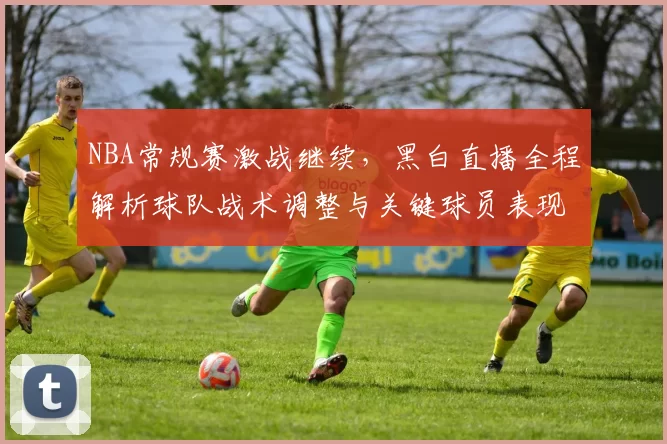 NBA常规赛激战继续，黑白直播全程解析球队战术调整与关键球员表现