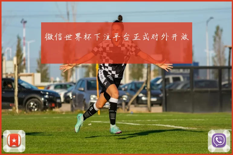 微信世界杯下注平台正式对外开放