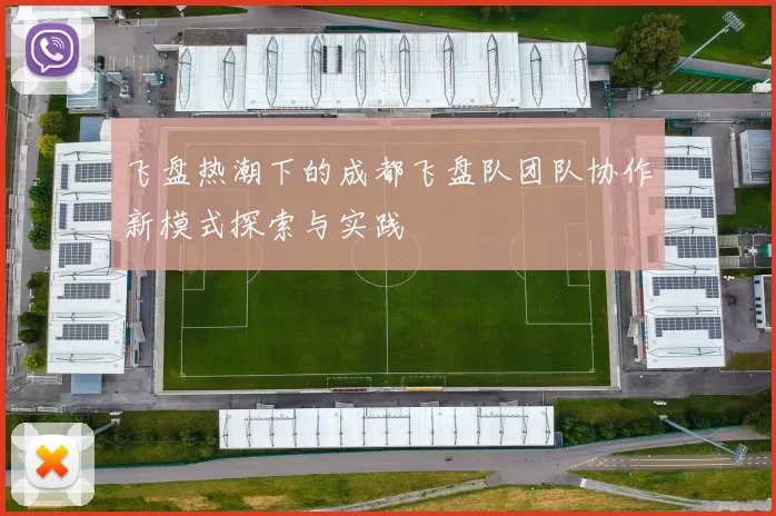 飞盘热潮下的成都飞盘队团队协作新模式探索与实践