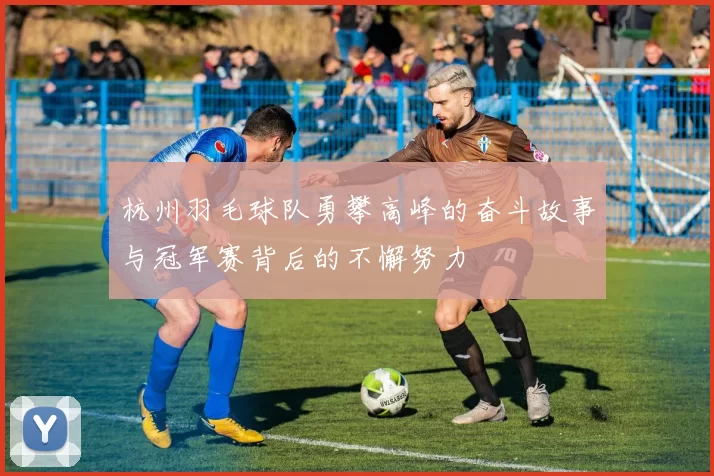 杭州羽毛球队勇攀高峰的奋斗故事与冠军赛背后的不懈努力